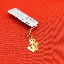 SANSKRIT LOCKET