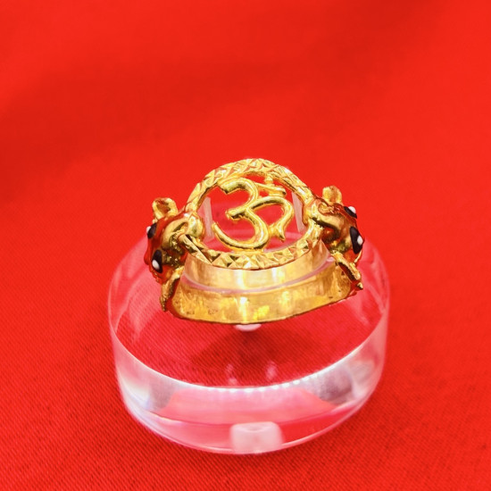 SANSKRIT RING SANSKRIT RING