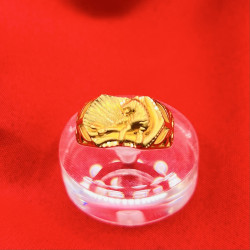 TIGER 3D RING