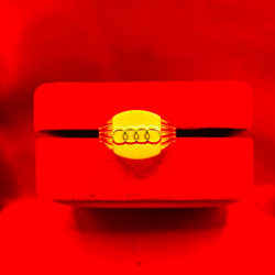 AUDI RING