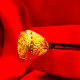 SANSKRIT RING SANSKRIT RING