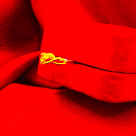 FANCY GOLD RING FANCY GOLD RING