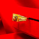 LION RING