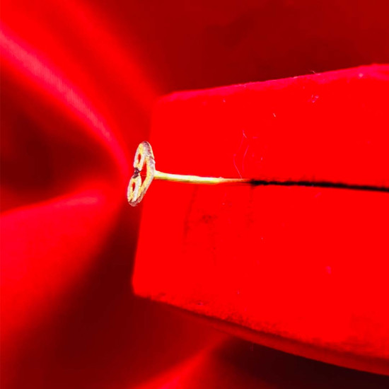 FANCY RING FANCY RING