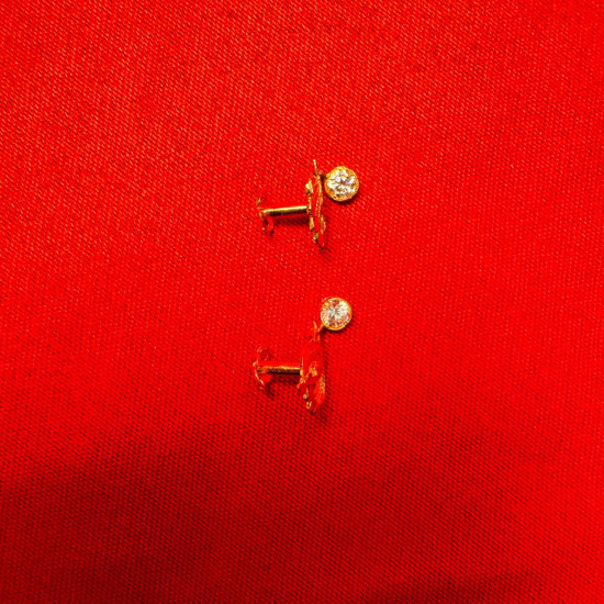 RED PEACOCK EARRINGS 