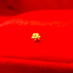 Flower Gold Nose Pin